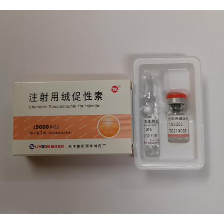HCG 5000IU - Image 2